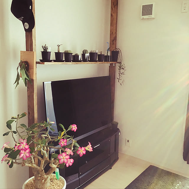 ilbasさんの実例写真