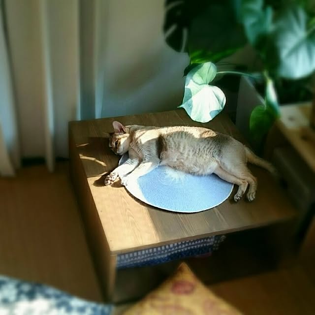 Jcさんの実例写真