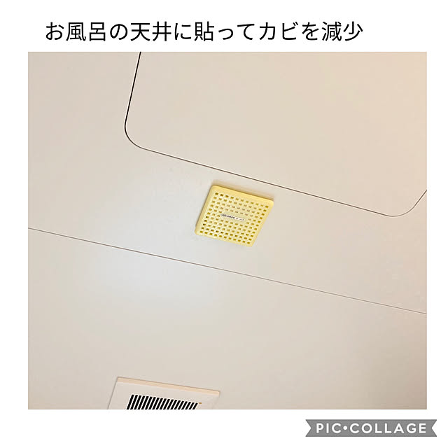 sasaeriさんの実例写真