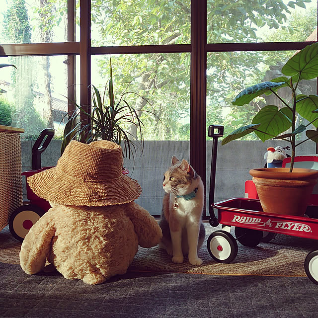 fukuさんの実例写真