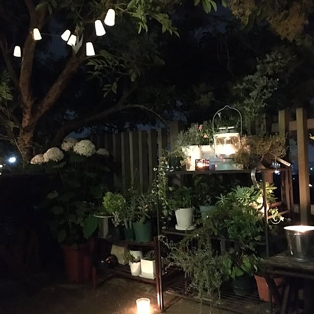 kotoriccoさんの実例写真