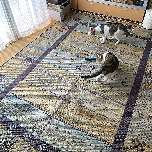 Lufuさんの実例写真