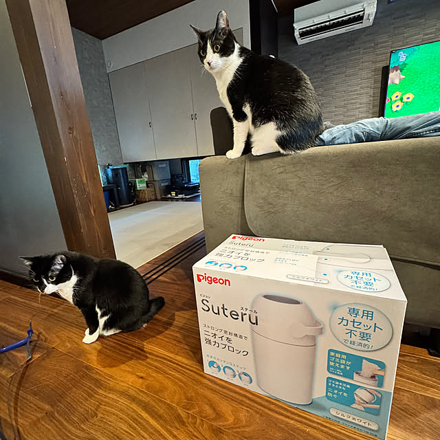 porinさんの実例写真