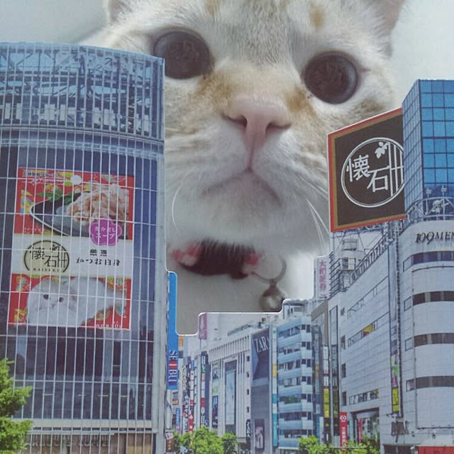 mntcさんの実例写真