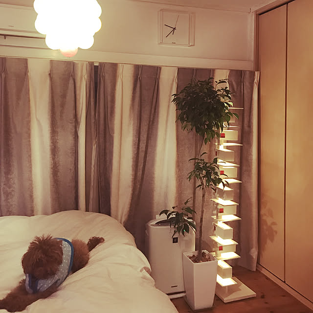 yokoyoko425さんの実例写真