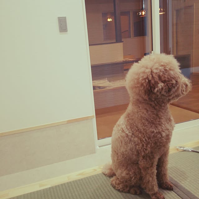 tentenさんの実例写真