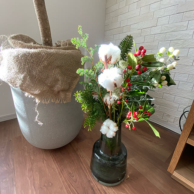 クリスマス/観葉植物/リビングのインテリア実例 - 2023-01-03 18:26:24