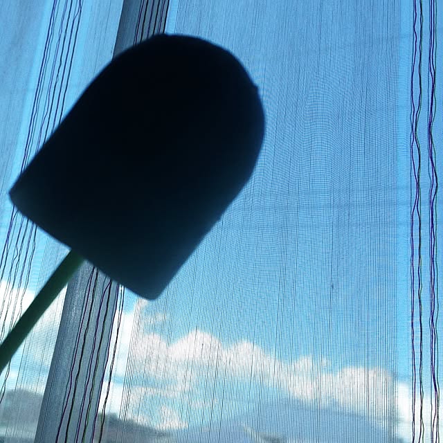silverさんの実例写真