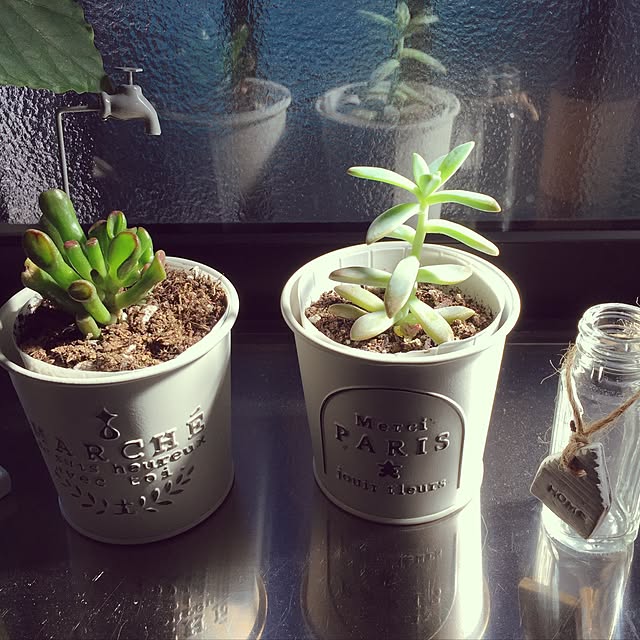 CoffeeHouseさんの実例写真