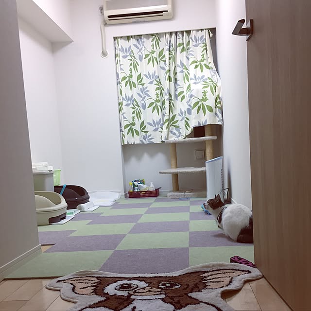 mm310mmさんの実例写真