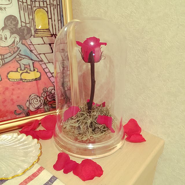 chiirisuさんの実例写真