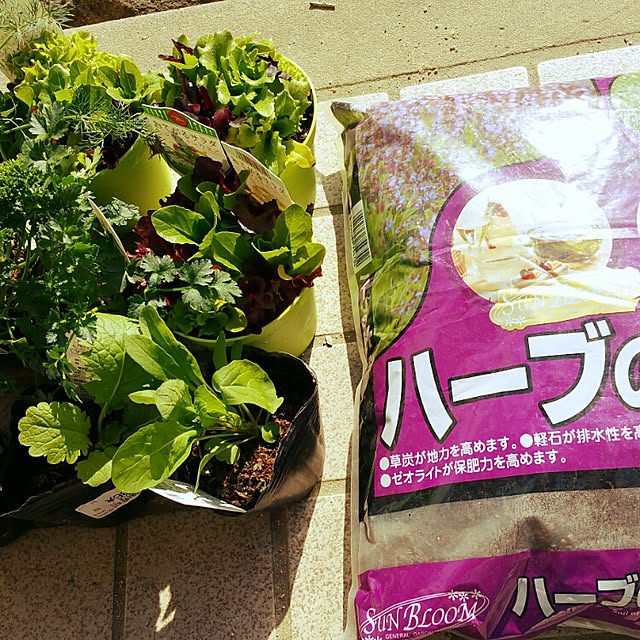aco_64さんの実例写真