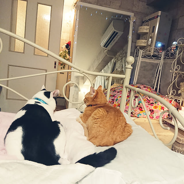 asuminさんの実例写真
