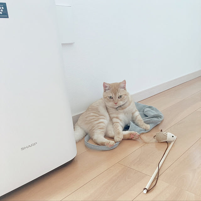 m.k.mさんの実例写真