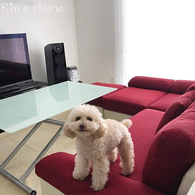 Rinさんの実例写真