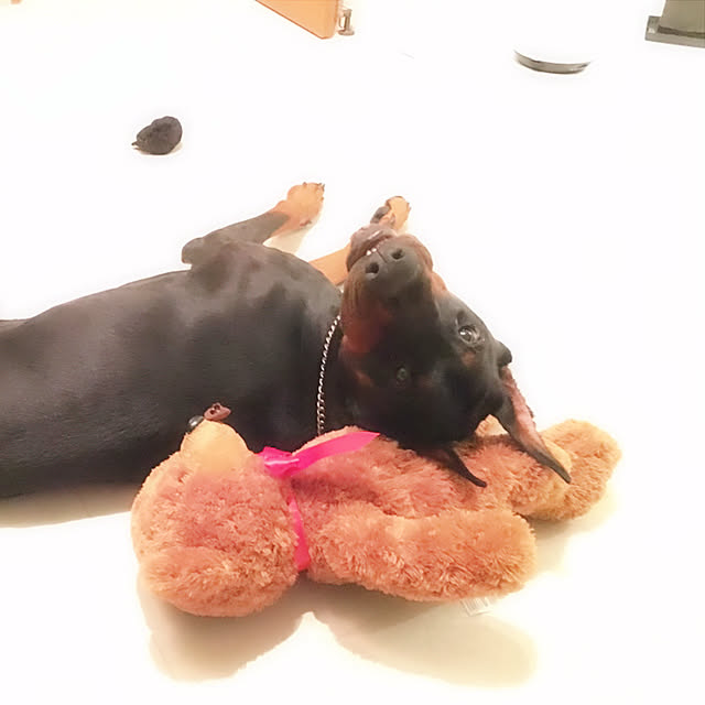 meco8さんの実例写真
