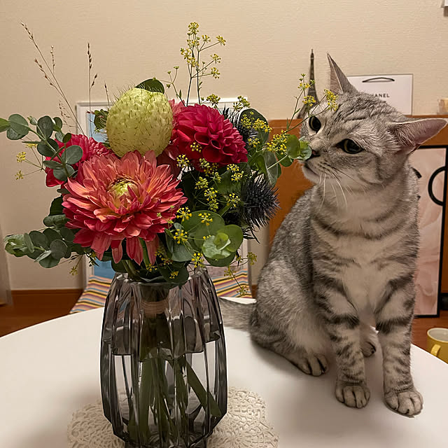tomootyさんの実例写真