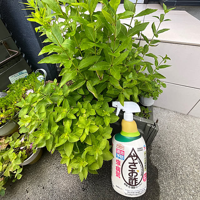 Vakiさんの実例写真