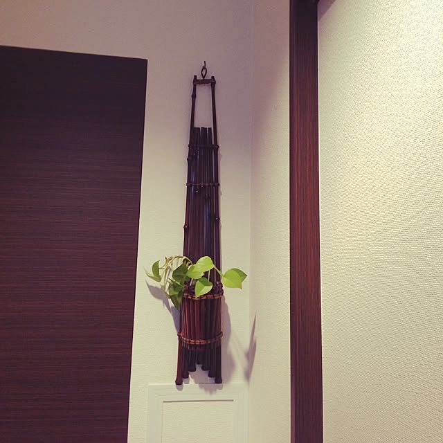 ayahさんの実例写真