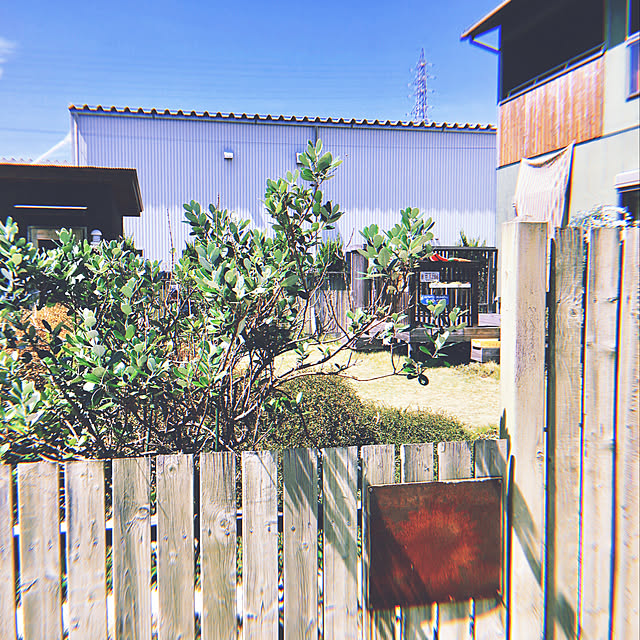 NAOMIさんの実例写真
