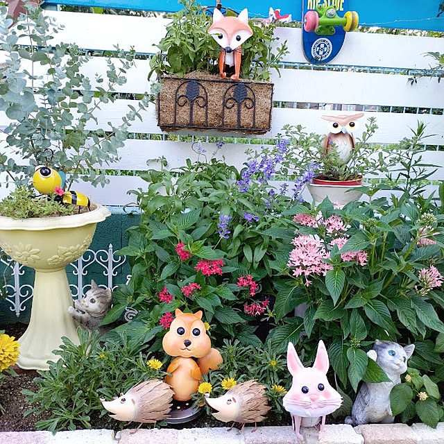 Miyumamaさんの実例写真