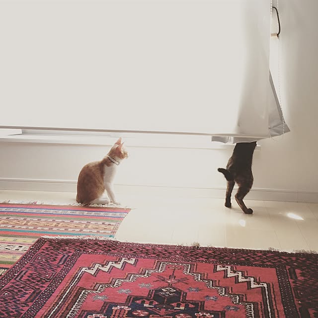 y.さんの実例写真