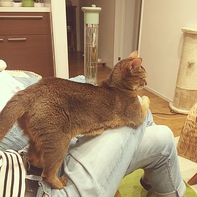 sakineko528さんの実例写真
