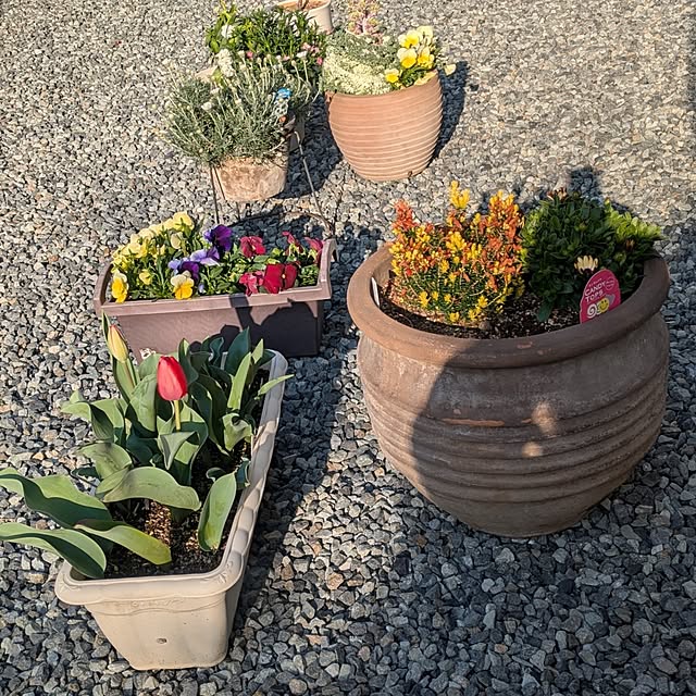 ramuramuさんの実例写真