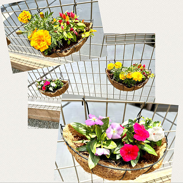 s_homeさんの実例写真