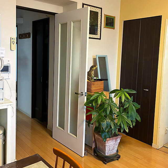 koshiregutyoさんの部屋