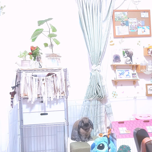 mariaさんの実例写真