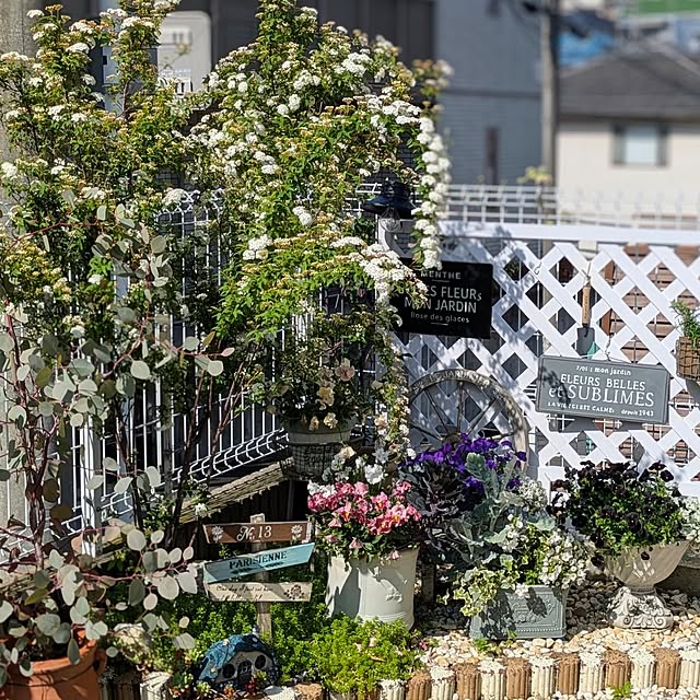 purpureさんの部屋