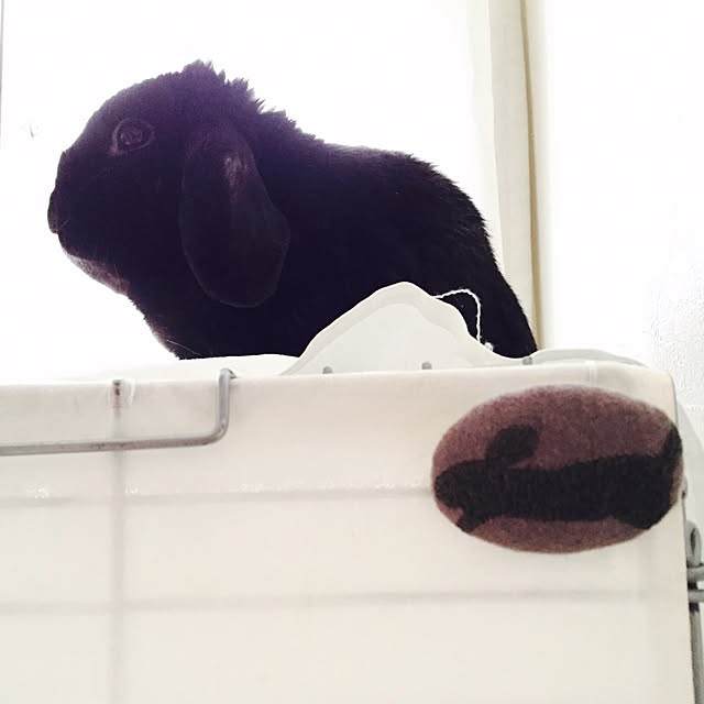 tu-chanさんの実例写真