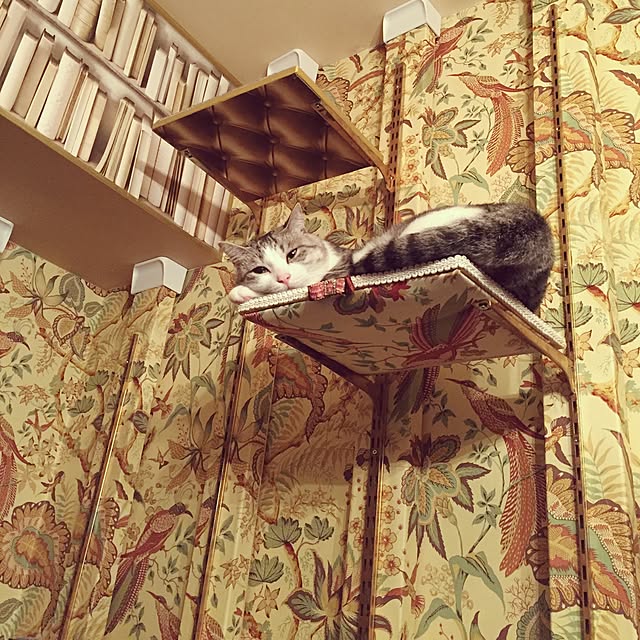 emmyyさんの実例写真