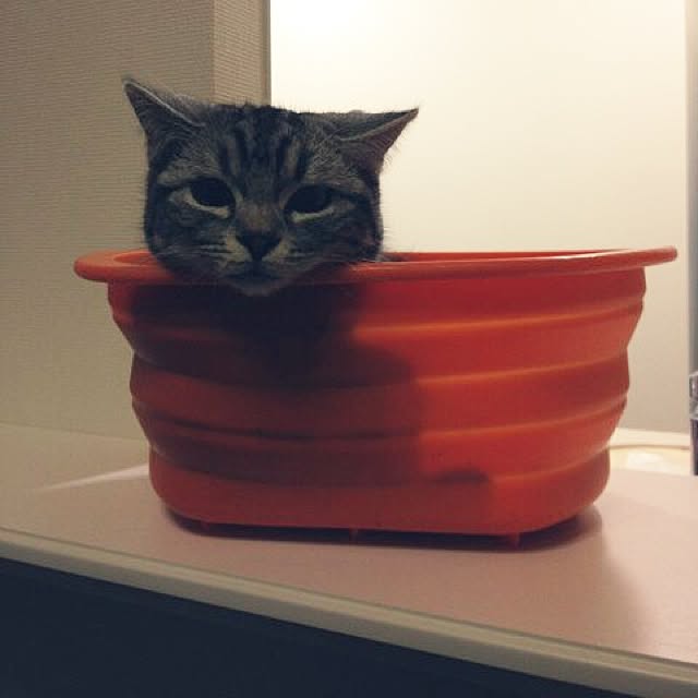 mikomaruさんの実例写真