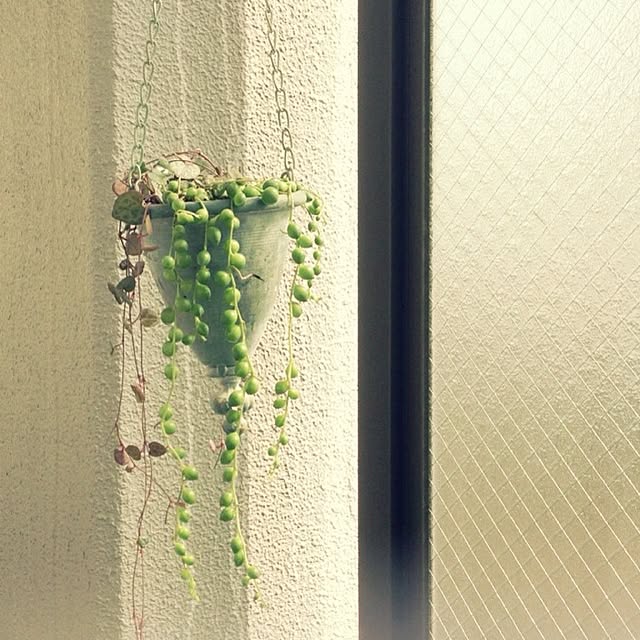 asakoさんの実例写真
