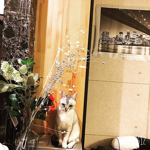 pique.さんの実例写真