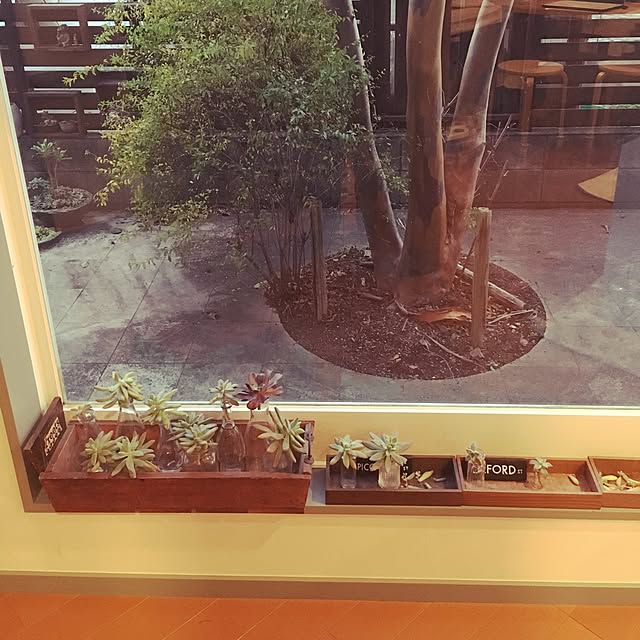 youkoさんの実例写真
