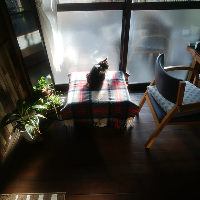 montomoさんの実例写真