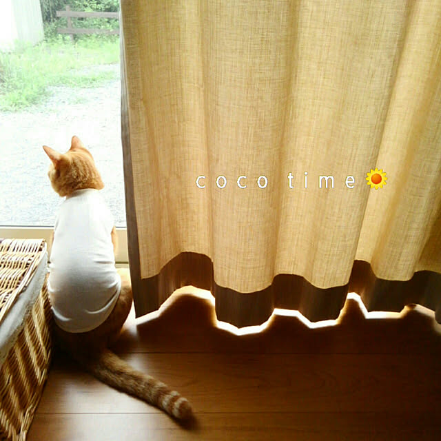 mayutan.さんの実例写真