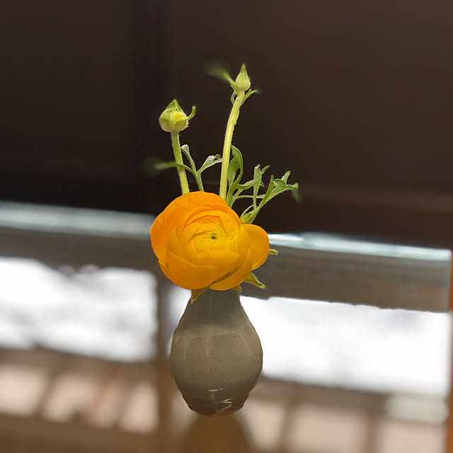 sakakenさんの実例写真