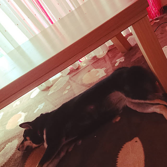 xxxakyxxxさんの実例写真