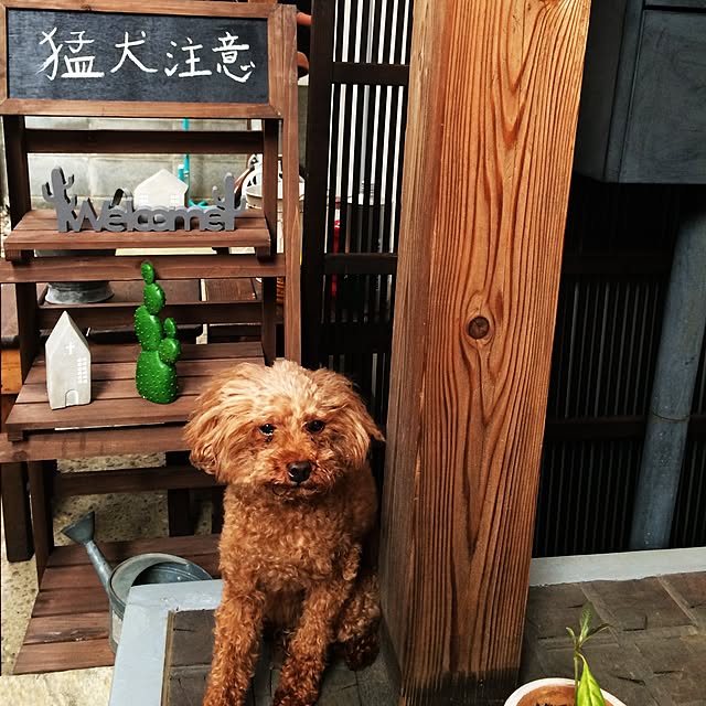 chacoさんの実例写真