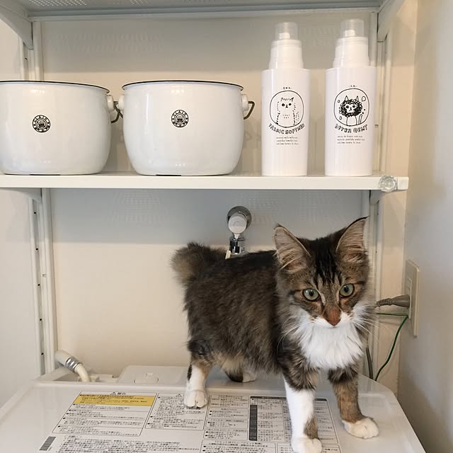yuchiさんの実例写真