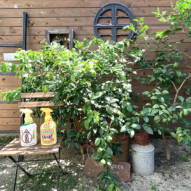kobami_styleさんの実例写真