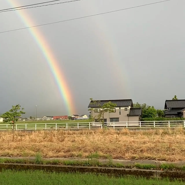 chiiyanさんの部屋
