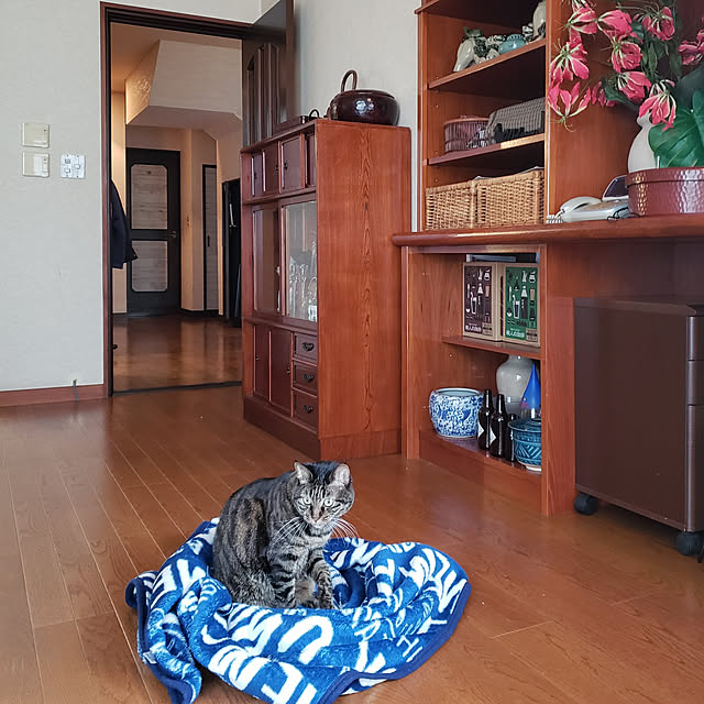 Mayumi8888さんの実例写真