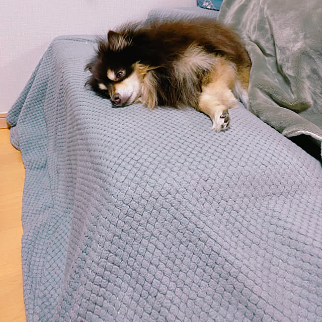 cocoさんの実例写真