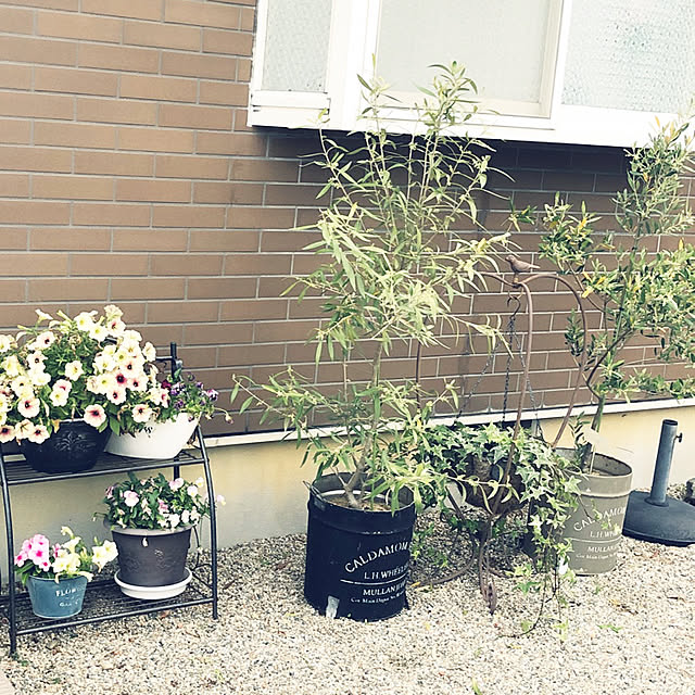 cocoaさんの実例写真
