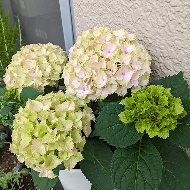 toramamaさんの部屋